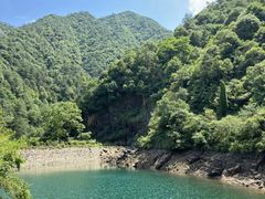 -大奇山国家森林公园