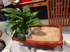 -卯火锅(人和协信店)