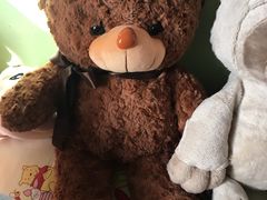 -PAWTOY爪e玩偶店(天兴罗斯福店)