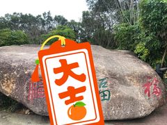 -福道