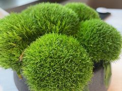 -恒悦轩·粤菜(上海展览中心店)