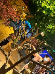 -酷嗒动物文化乐园(cutezoo西溪乐天城店)