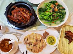 -清新鸡沙田乳鸽店(金融店)