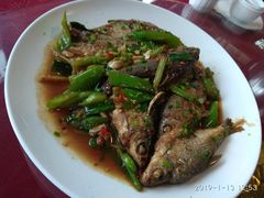 -生态苑农庄(十里画廊遇龙河店)