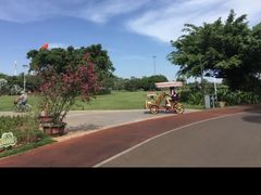 -万绿园