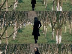 -太子山公园(园东路)