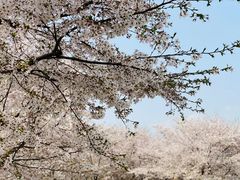 -龙美术馆(西岸馆)