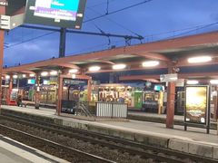 -戴高乐机场火车站