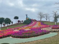 -东莞植物园
