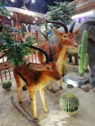 -鲁比猴非洲探索部落(喜盈门店)