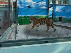-保定市动物园