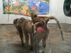 景点-西安秦岭野生动物园