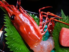 -鲤·鮨KOISUSHI