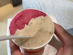 -DIP in GELATO(富民路店)