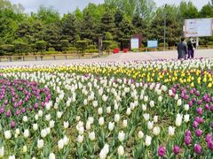 -长春公园(普阳街道)