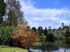 -墨尔本皇家植物园