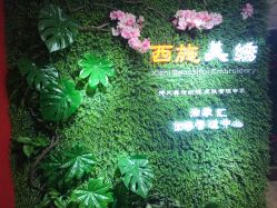 -西施无菌半永久纹绣眉眼影唇轻增发纹发际线