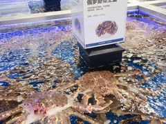 -盒马X会员店(上海森兰商都店)