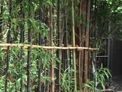 -万达影城(银兴菲林店)