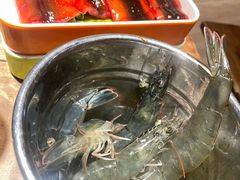 -懂食汇自助火锅