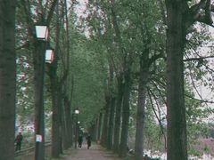 -安龙招堤