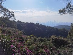 -广州市白云山风景名胜区