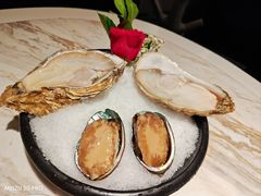 -汤城·料青山