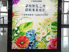 -广州白云国际机场-T2航站楼