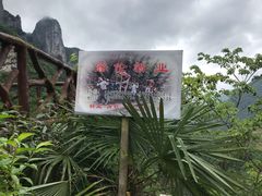 -鹿院坪生态旅游景区