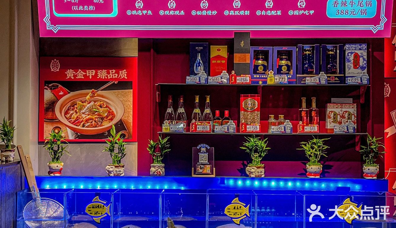 沈阳胶原蛋白天花板甲鱼居然能这么吃