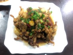 -凤嫂农家乐(梁弄店)