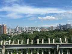 -福道