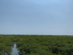 -北海金海湾红树林生态旅游区