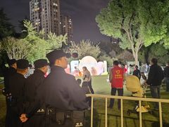 -青枫公园