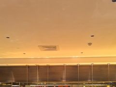 -上海锦江汤臣洲际大酒店壹阶层