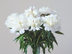 -海底捞火锅(万象城店)