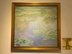 -印象莫奈时光映迹艺术展