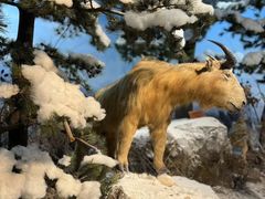 -陕西自然博物馆