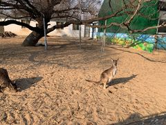 -秦皇岛野生动物园