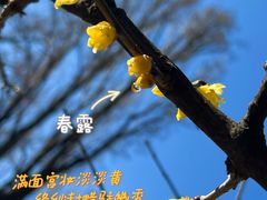 -陶然亭公园