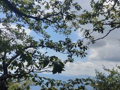 -牛背梁国家森林公园