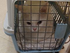 -宠颐生汉谟拉比宠物医院