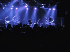 -坚果NUTS