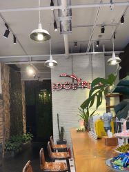 -IDOL-PLUS