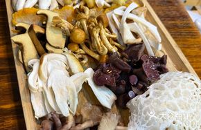Ten Worlds Mushroom Platter