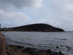 -烟墩角天鹅湖