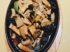 -素虎小呆鸟(西二旗店)