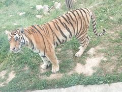 -西安秦岭野生动物园