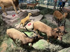 -陕西自然博物馆