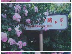 -航天中心医院